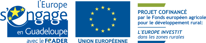 LOGO_LEADER