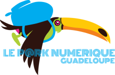 Logo LPN 971